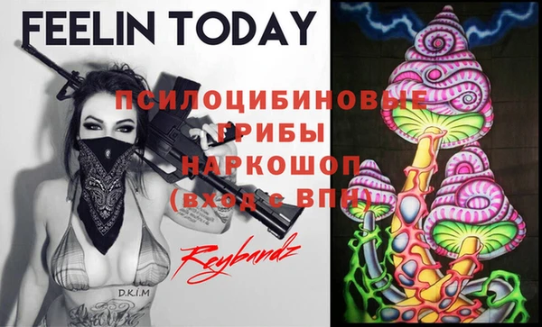 мяу мяу кристалл Заводоуковск