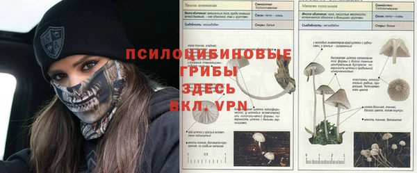 мяу мяу кристалл Заводоуковск