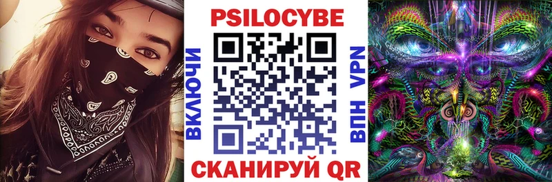 Купить закладки Карабаново Псилоцибиновые грибы Cubensis